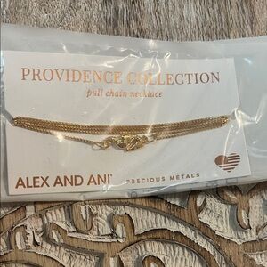 Alex and Ani Providence Collection Gold Necklace